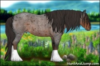 Horse Color:Liver Red Roan 
