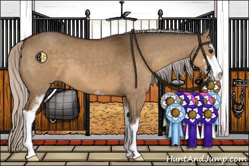 Horse Color:Silver Brown Dun Sabino 
