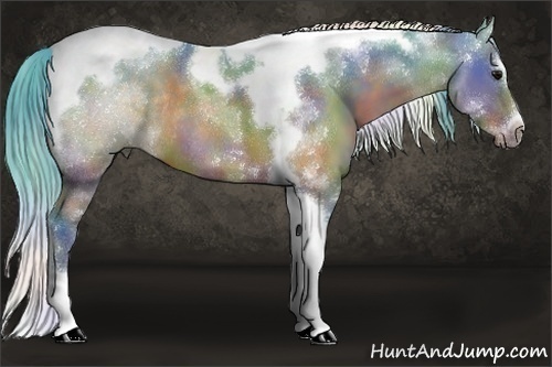 Horse Color:Nacre Watercolor Brown Splash Tobiano Frame Rabicano