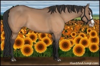 Horse Color:Brown Dun Splash Rabicano 
