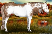 Horse Color:Chestnut Splash Frame  and Chestnut Splash Frame 