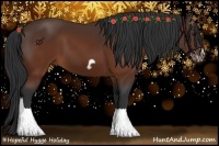 Horse Color:Brown Splash Frame Rabicano