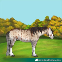 Horse Color:Brown Onyx Splash Rabicano Brindle