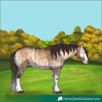 Horse Color:Brown Onyx Splash Rabicano Brindle 