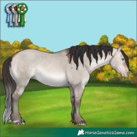 Horse Color:Sable Champagne Dun Mushroom Rabicano 