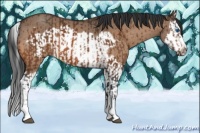 Horse Color:Bay Splash Frame and Bay Dun Splash Frame
