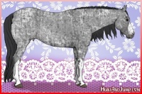 Horse Color:Blue Ice Roan  and Blue Ice Roan 