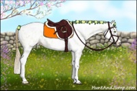 Horse Color:Gold Champagne Roan Dun Splash Tobiano Frame Appaloosa Rabicano