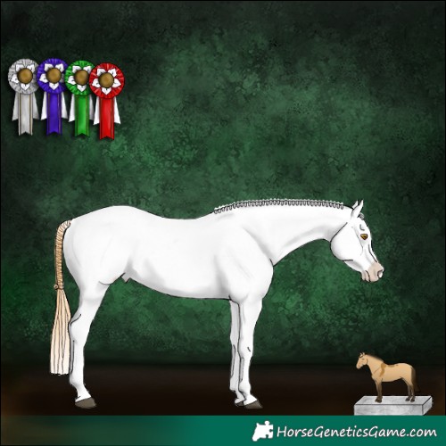 Horse Color:Buckskin Dun Mushroom Appaloosa Brindle 