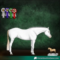 Horse Color:Buckskin Dun Mushroom Blanket Brindle 