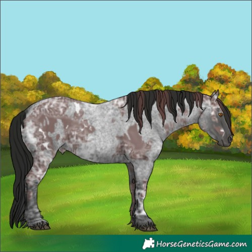 Horse Color:White Spotted Chocolate Black Ice and Gray Blue Ice Roan