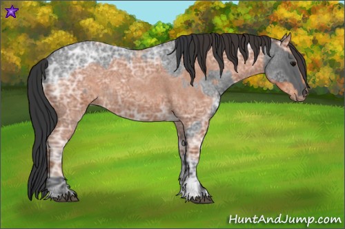 Horse Color:Blue Ice Roan  and Bay Ice Roan 