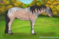 Horse Color:Blue Ice Roan  and Bay Ice Roan 