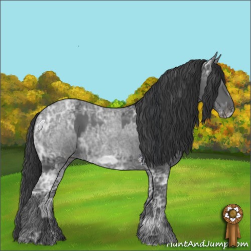 Horse Color:Blue Ice Roan  and Blue Ice Roan Frame 
