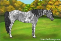 Horse Color:Black Ice Tobiano and Blue Ice Roan Rabicano