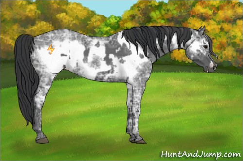 Horse Color:Blue Ice Roan  and Blue Ice Roan Frame 