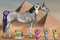 Horse Color:Blue Ice Roan and Painted Grullo Ice Onyx Sabino Tobiano