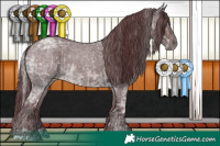 Horse Color:Platinum Chocolate Silver Buckskin Ice Roan and Platinum Chocolate Blue Ice Roan