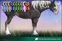 Horse Color:White Spotted Liver Chestnut Mushroom 