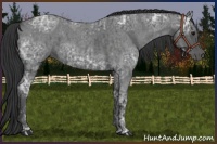 Horse Color:Blue Ice Roan  and Blue Ice Roan 