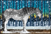 Horse Color:Black Ice  and White Spotted Black Ice Splash 