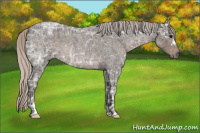 Horse Color:Silver Blue Ice Roan and Gray Silver Blue Ice Roan