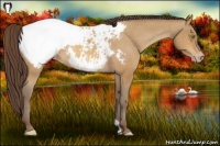 Horse Color:Amber Champagne Snowcap