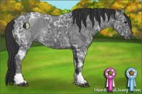 Horse Color:Blue Ice Roan  and Blue Ice Roan 