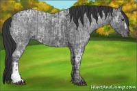 Horse Color:Blue Ice Roan  and Blue Ice Roan 