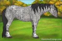 Horse Color:Blue Ice Roan  and Blue Ice Roan 