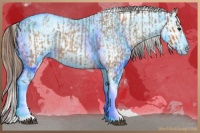 Horse Color:Bay Roan Splash Tobiano Appaloosa  and Bay Roan Splash Tobiano Frame Appaloosa 