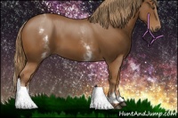 Horse Color:White Spotted Chestnut Sabino 