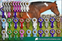 Horse Color:Bay Tobiano