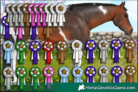 Horse Color:Bay Tobiano 