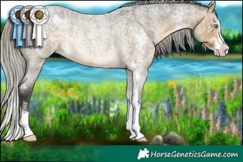 Horse Color:Silver Buckskin Roan Dun Sabino Rabicano Brindle  and Silver Buckskin Roan Dun Sabino Rabicano Brindle 