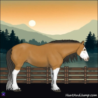 Horse Color:Bay Splash Frame 