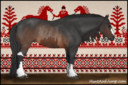 Horse Color:Brown Rabicano  and Brown Rabicano 