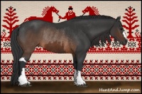Horse Color:Brown Rabicano  and Brown Rabicano 