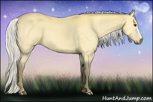 Horse Color:Silver Buckskin 