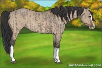 Horse Color:Grullo Sabino Splash and Brown Dun Sabino Splash