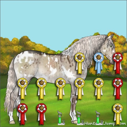 Horse Color:White Spotted Liver Red Dun