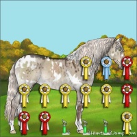 Horse Color:White Spotted Liver Red Dun 