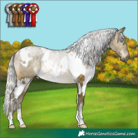 Horse Color:White Spotted Silver Buckskin Dun Mushroom Brindle 