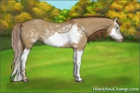 Horse Color:Red Dun Splash Frame