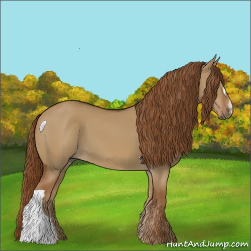 Horse Color:Red Dun 