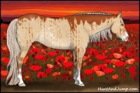 Horse Color:Silver Bay Dun Sabino Rabicano 