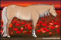 Horse Color:Silver Bay Dun Rabicano 