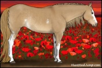 Horse Color:White Spotted Red Dun Rabicano
