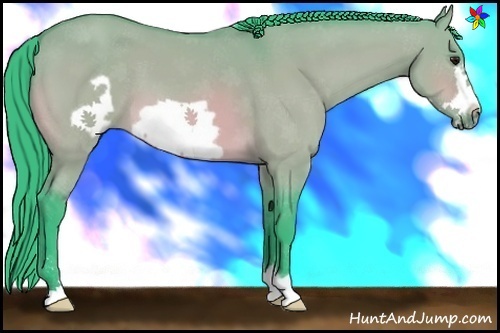 Horse Color:Watercolor Bay Dun Frame