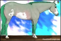 Horse Color:Watercolor Bay Dun Frame 